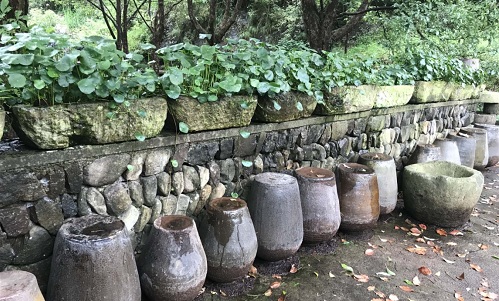 随“圾”而动、借“技”行事，垃圾分类喜迎智能化