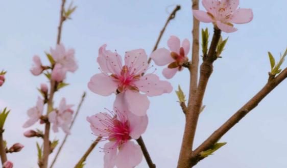 大数据产业扩张趋势显现,金融领域存在较大增长空间