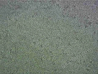 HQ鑄鋼丸金相組織 HQ鑄鋼丸金相組織